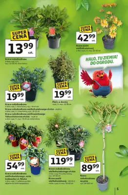 Auchan - gazetka promocyjna Gazetka Strefa Ogród Hipermarket Auchan od czwartku 12.03 do soboty 04.04 - strona 5