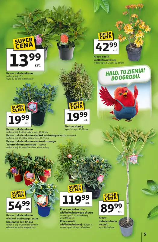 Auchan - gazetka promocyjna Gazetka Strefa Ogród Hipermarket Auchan od czwartku 12.03 do soboty 04.04 - strona 5