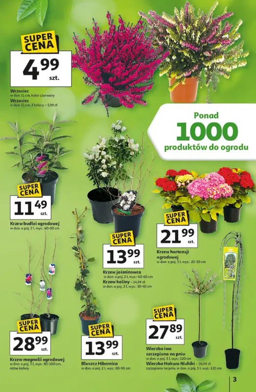 Auchan - gazetka promocyjna Gazetka Strefa Ogród Hipermarket Auchan   - strona 3