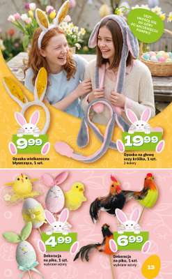 Twój Market - gazetka promocyjna Katalog Wielkanocny od wtorku 10.03 do soboty 04.04 - strona 13