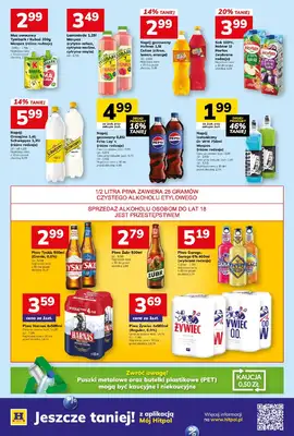 Hitpol - gazetka promocyjna Gazetka  do niedzieli 22.03 - strona 10