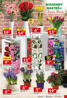 Twój Market - gazetka promocyjna Gazetka od środy 11.03 do wtorku 17.03 - strona 7