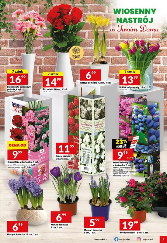 Twój Market - gazetka promocyjna Gazetka od środy 11.03 do wtorku 17.03 - strona 7