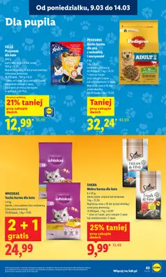 Lidl - gazetka promocyjna Oferta od poniedziałku od poniedziałku 09.03 do środy 11.03 - strona 63