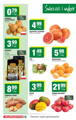 SPAR - gazetka promocyjna Gazetka Eurospar od poniedziałku 16.03 do niedzieli 22.03 - strona 2