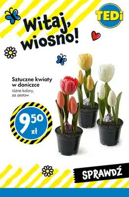 Tedi - gazetka promocyjna Witaj, wiosno! od środy 11.03 do soboty 14.03 - strona 3