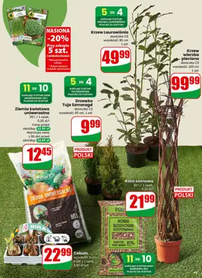 Dino - gazetka promocyjna Gazetka 11 / 2026 od środy 11.03 do wtorku 17.03 - strona 49