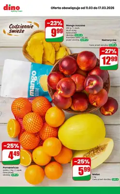 Dino - gazetka promocyjna MEGA promocje! od środy 11.03 do wtorku 17.03 - strona 5