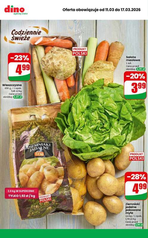 Dino - gazetka promocyjna MEGA promocje! od środy 11.03 do wtorku 17.03 - strona 7