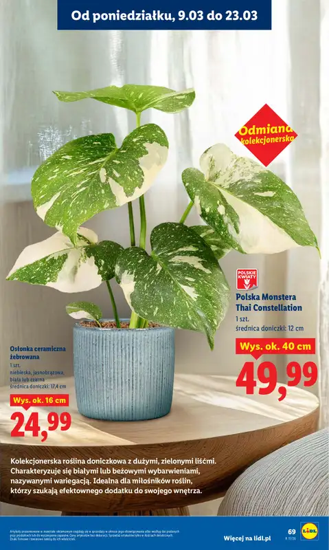 Lidl - gazetka promocyjna Oferta od poniedziałku od poniedziałku 09.03 do środy 11.03 - strona 71