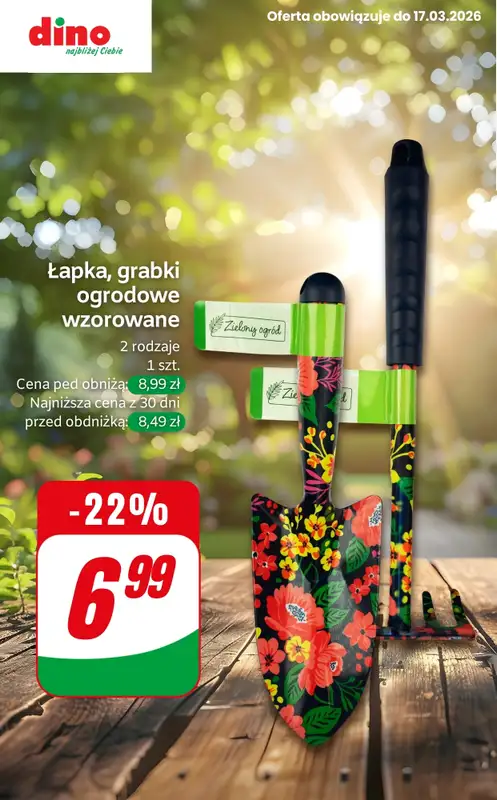 Dino - gazetka promocyjna Przygotuj ogród na wiosnę! od czwartku 12.03 do wtorku 17.03 - strona 9