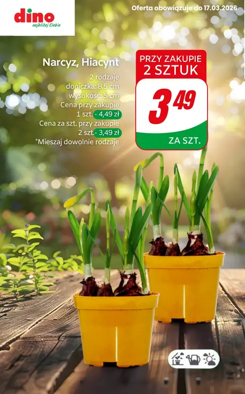 Dino - gazetka promocyjna Przygotuj ogród na wiosnę!   - strona 2