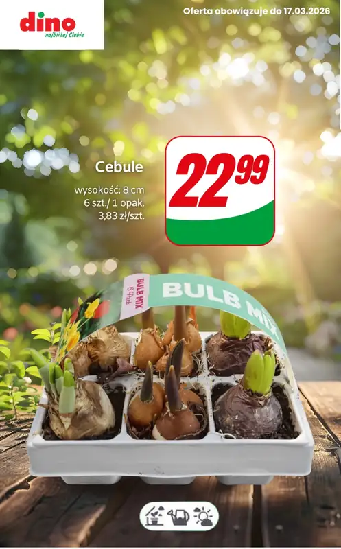 Dino - gazetka promocyjna Przygotuj ogród na wiosnę!   - strona 3