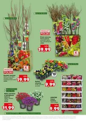 Kaufland - gazetka promocyjna Oferta Kaufland - Ogród od czwartku 12.03 do środy 18.03 - strona 13