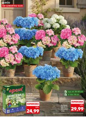 Kaufland - gazetka promocyjna Oferta Kaufland - Ogród od czwartku 12.03 do środy 18.03 - strona 12