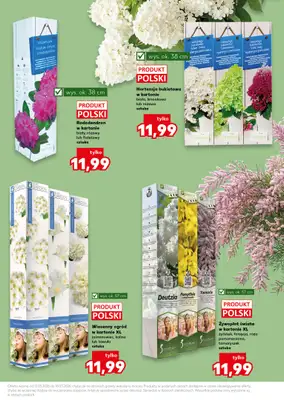 Kaufland - gazetka promocyjna Oferta Kaufland - Ogród od czwartku 12.03 do środy 18.03 - strona 11