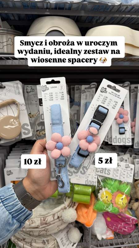 Pepco - gazetka promocyjna Zakupowe Inspiracje w Pepco od czwartku 12.03  - strona 6