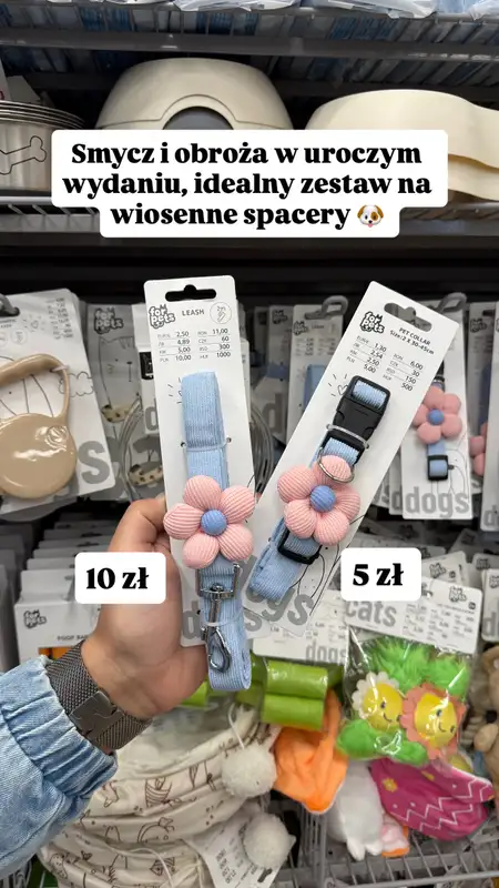 Pepco - gazetka promocyjna Zakupowe Inspiracje w Pepco od czwartku 12.03  - strona 6