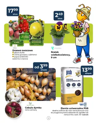 PSB Mrówka - gazetka promocyjna Gazetka od czwartku 12.03 do soboty 21.03 - strona 2