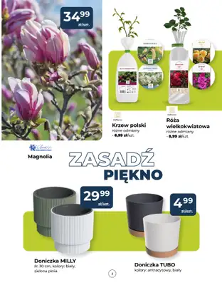 PSB Mrówka - gazetka promocyjna Gazetka od czwartku 12.03 do soboty 21.03 - strona 3