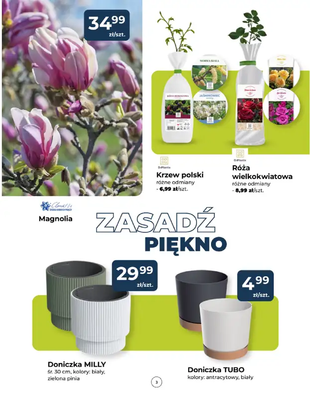 PSB Mrówka - gazetka promocyjna Gazetka od czwartku 12.03 do soboty 21.03 - strona 3