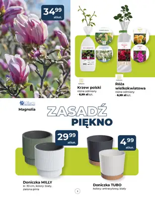 PSB Mrówka - gazetka promocyjna Gazetka od czwartku 12.03 do soboty 21.03 - strona 3