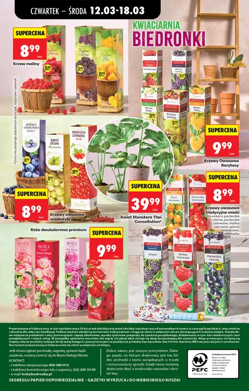 Biedronka - gazetka promocyjna Od czwartku od czwartku 12.03 do środy 18.03 - strona 81