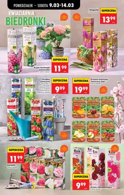 Biedronka - gazetka promocyjna Od poniedziałku od poniedziałku 09.03 do soboty 14.03 - strona 79