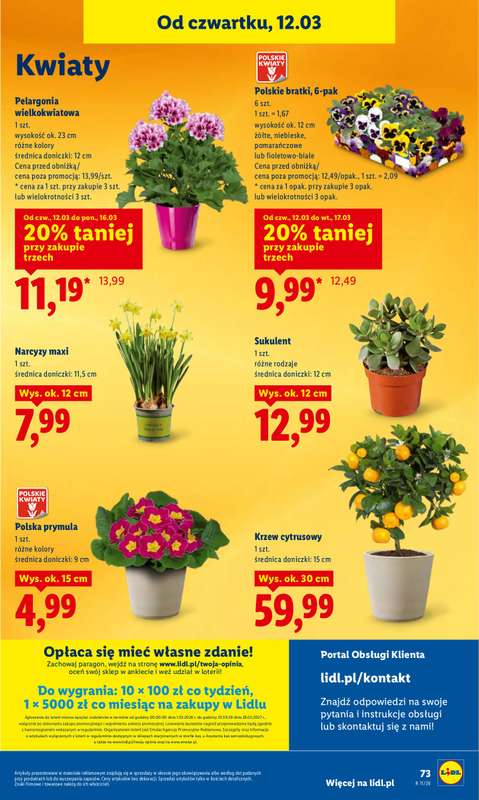 Lidl - gazetka promocyjna Oferta od czwartku od czwartku 12.03 do soboty 14.03 - strona 75