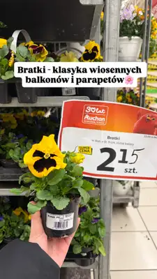 Auchan - gazetka promocyjna Zakupowe inspiracje w Auchan od piątku 13.03 do środy 18.03 - strona 6