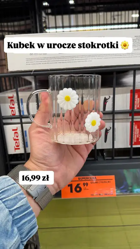 Biedronka - gazetka promocyjna Zakupowe Inspiracje - produkty do domu i dodatki modowe od piątku 13.03  - strona 13