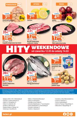 Leclerc - gazetka promocyjna Oferta E.Leclerc I Ogród od wtorku 10.03 do soboty 21.03 - strona 32
