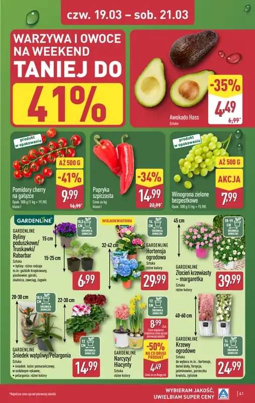Aldi - gazetka promocyjna Pełny katalog! od poniedziałku 16.03 do soboty 21.03 - strona 41