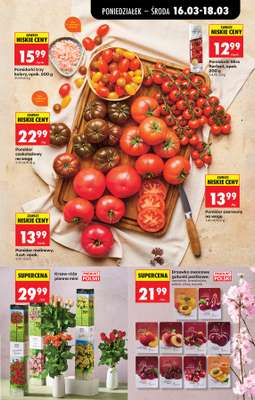 Biedronka - gazetka promocyjna Od poniedziałku od poniedziałku 16.03 do soboty 21.03 - strona 29