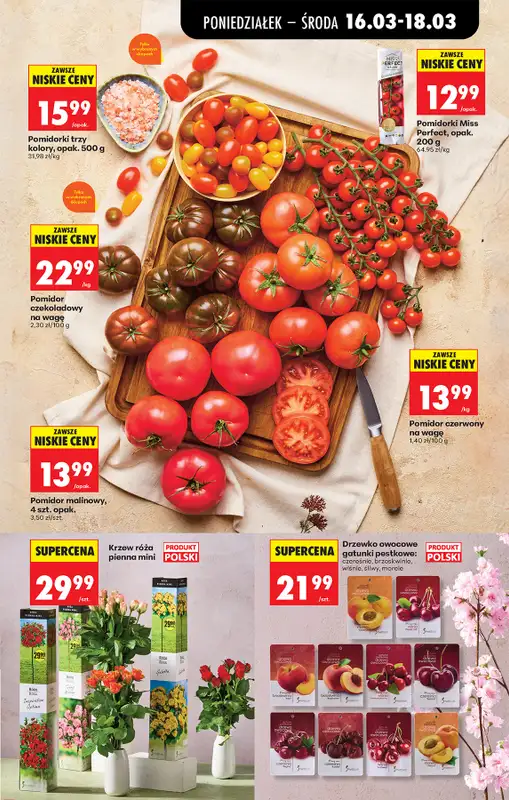 Biedronka - gazetka promocyjna Od poniedziałku od poniedziałku 16.03 do soboty 21.03 - strona 29