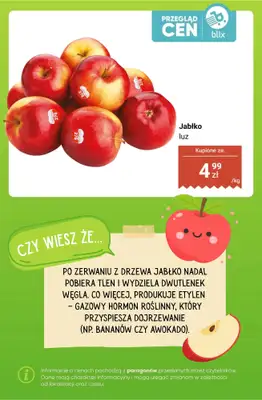 Dino - gazetka promocyjna Owoce i warzywa - przegląd cen od poniedziałku 16.03 do niedzieli 22.03 - strona 11