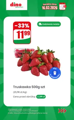 Dino - gazetka promocyjna Specjalna oferta na 16.03.2026 - promocje spoza gazetki od poniedziałku 16.03 do poniedziałku 16.03 - strona 3