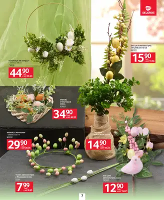Selgros - gazetka promocyjna Katalog Wielkanoc od czwartku 19.03 do soboty 04.04 - strona 3