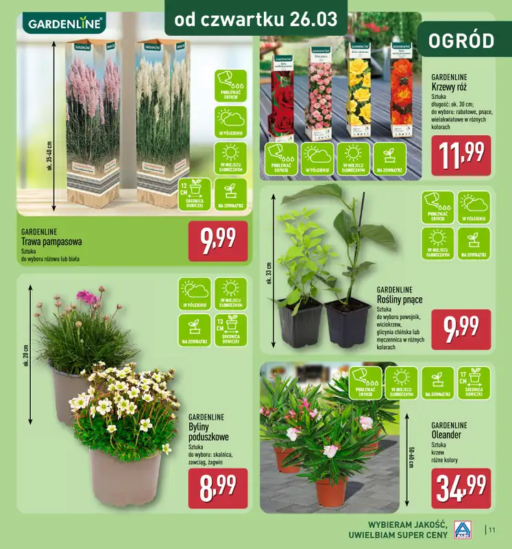 Aldi - gazetka promocyjna Katalog ogrodowy Aldi! od środy 25.02 do soboty 21.03 - strona 11