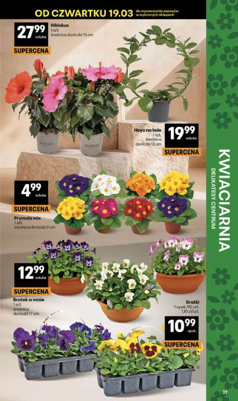 Delikatesy Centrum - gazetka promocyjna Gazetka  do środy 25.03 - strona 37