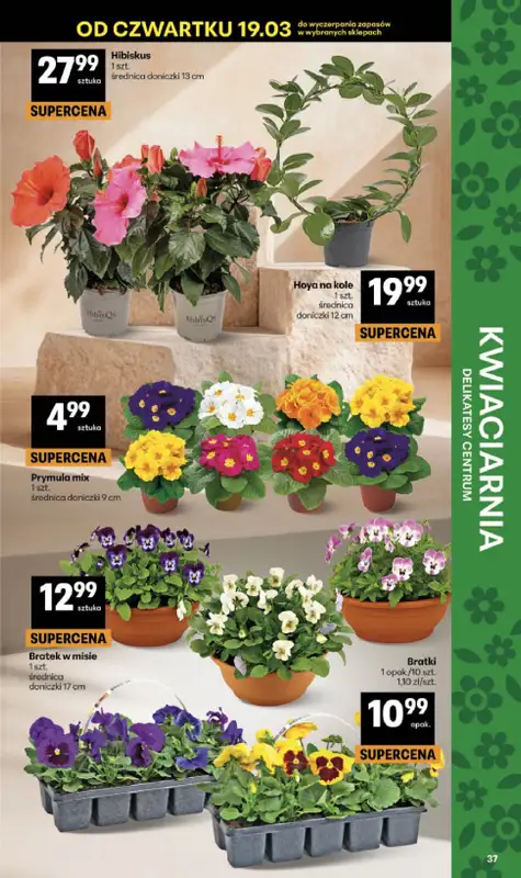 Delikatesy Centrum - gazetka promocyjna Gazetka  do środy 25.03 - strona 37