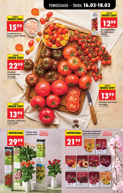 Biedronka - gazetka promocyjna Od poniedziałku od poniedziałku 16.03 do soboty 21.03 - strona 31