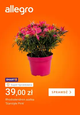 Allegro - gazetka promocyjna Jak witać wiosnę, to Allegro od wtorku 17.03 do poniedziałku 23.03 - strona 3