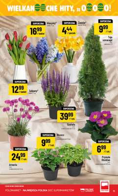 POLOmarket - gazetka promocyjna Gazetka od środy 18.03 do wtorku 24.03 - strona 15