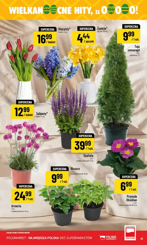 POLOmarket - gazetka promocyjna Gazetka od środy 18.03 do wtorku 24.03 - strona 15