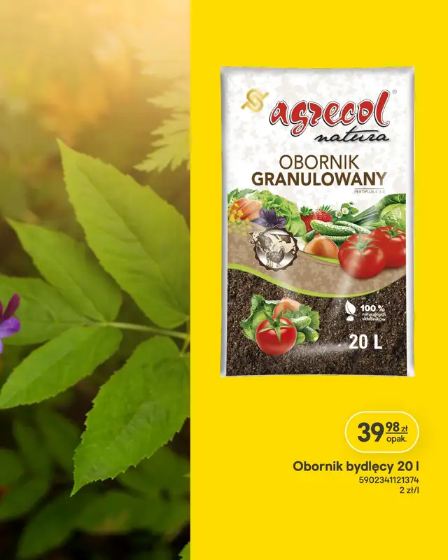 Castorama - gazetka promocyjna Ogród od środy 18.03 do poniedziałku 06.04 - strona 13