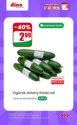 Dino - gazetka promocyjna Specjalna oferta na 17.03.2026 - promocje spoza gazetki od wtorku 17.03 do wtorku 17.03 - strona 7