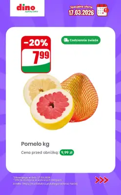 Dino - gazetka promocyjna Specjalna oferta na 17.03.2026 - promocje spoza gazetki od wtorku 17.03 do wtorku 17.03 - strona 8