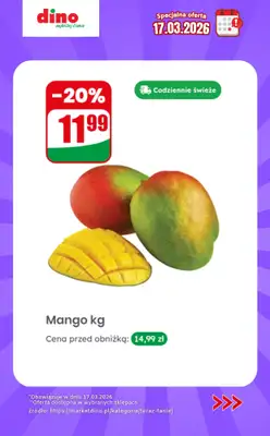 Dino - gazetka promocyjna Specjalna oferta na 17.03.2026 - promocje spoza gazetki od wtorku 17.03 do wtorku 17.03 - strona 2