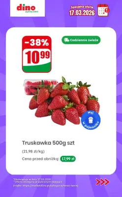 Dino - gazetka promocyjna Specjalna oferta na 17.03.2026 - promocje spoza gazetki od wtorku 17.03 do wtorku 17.03 - strona 9